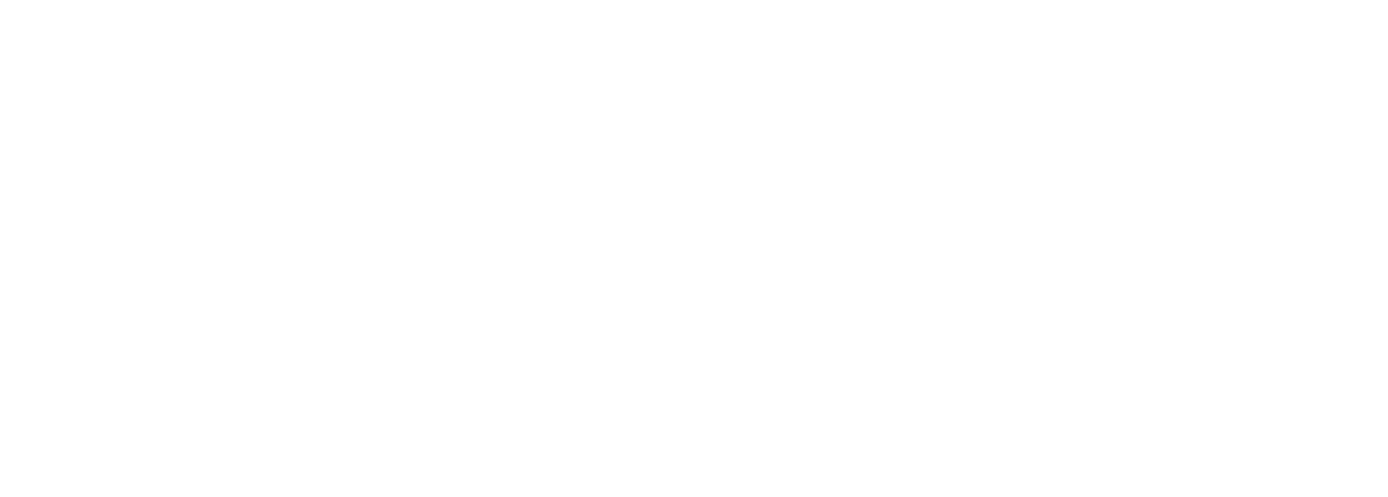logo_white.png
